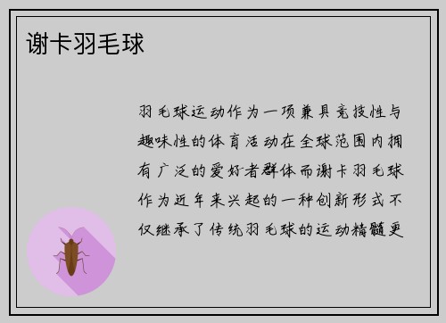 谢卡羽毛球